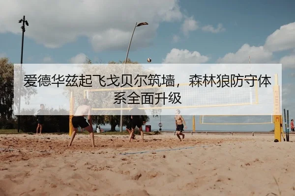 爱德华兹起飞戈贝尔筑墙，森林狼防守体系全面升级