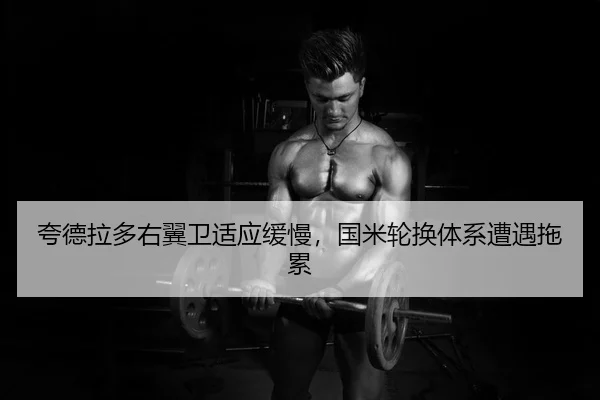 夸德拉多右翼卫适应缓慢，国米轮换体系遭遇拖累